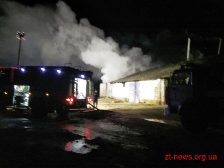 Неподалік Житомира рятувальники гасили пожежу на території приватного підприємства