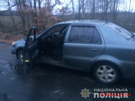 На Житомирщині поліція затримала групу угонщиків