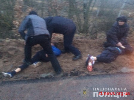 На Житомирщині поліція затримала групу угонщиків