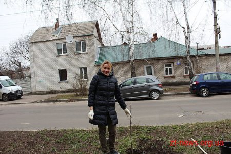 В День лісу в Житомирі посадили дерева