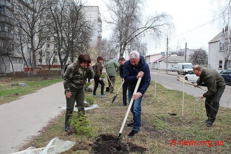В День лісу в Житомирі посадили дерева