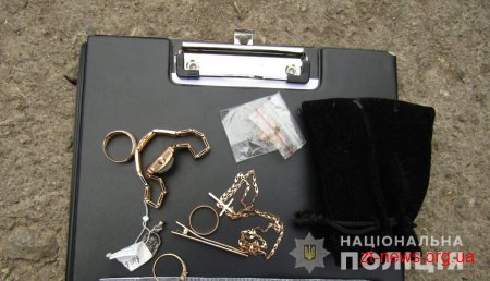 У Чуднівському районі затримали групу гастролюючих крадіїв