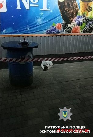 У Житомирі патрульні знайшли гранату в пакеті чоловіка, який розпивав алкоголь в громадському місці
