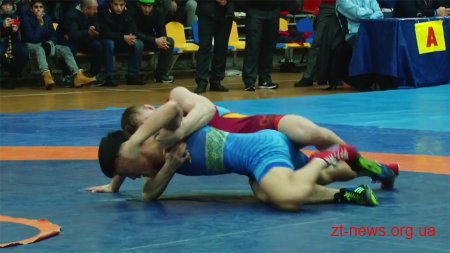 Житомирщина виборола бронзу на чемпіонаті України з греко-римської боротьби у Кривому Розі