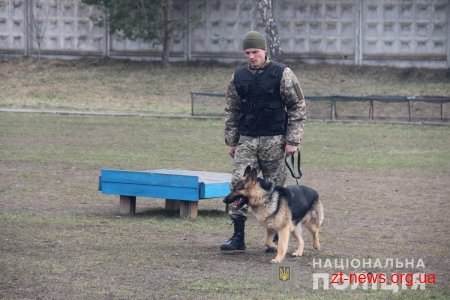 У Житомирі поліцейські кінологи дивували дітей яскравими виступами службових собак