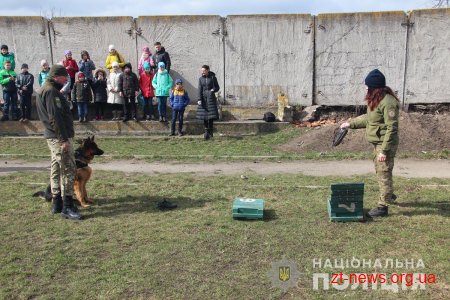 У Житомирі поліцейські кінологи дивували дітей яскравими виступами службових собак