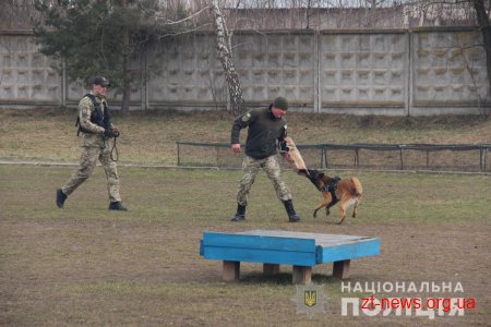 У Житомирі поліцейські кінологи дивували дітей яскравими виступами службових собак