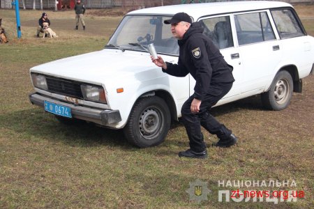 У Житомирі поліцейські кінологи дивували дітей яскравими виступами службових собак