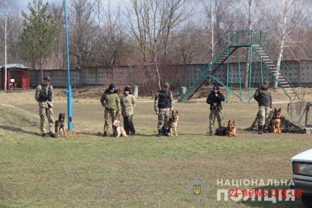 У Житомирі поліцейські кінологи дивували дітей яскравими виступами службових собак