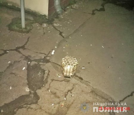 У Житомирі поліцейські охорони затримали жителя Запоріжжя, причетного до крадіжки з магазину