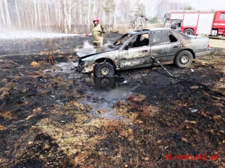 Рятувальники Житомирщини закликають не підпалювати суху траву та сміття
