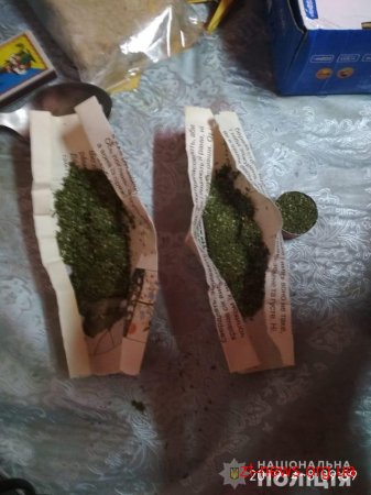 У Житомирі поліцейські під час обшуку вилучили понад 10 кг марихуани