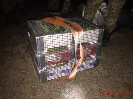 Українець намагався перенести до Білорусі понад 150 папуг