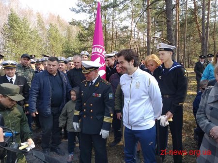 В Олевську висадили корабельний ліс