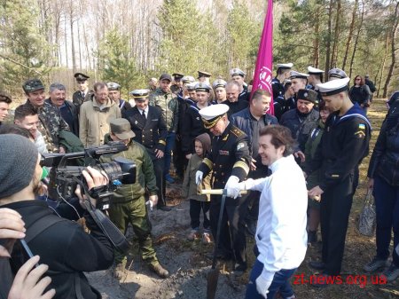 В Олевську висадили корабельний ліс
