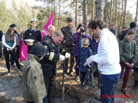 В Олевську висадили корабельний ліс