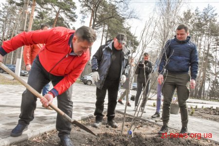 Геннадій Зубко, Ігор Гундич та волонтери висадили алею магнолій і троянд біля Центру вертебрології