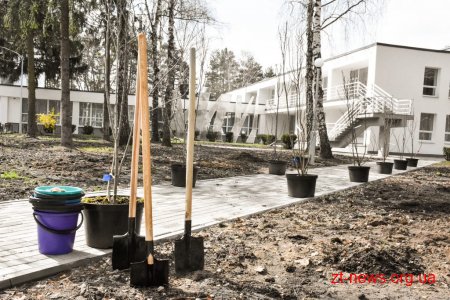 Геннадій Зубко, Ігор Гундич та волонтери висадили алею магнолій і троянд біля Центру вертебрології