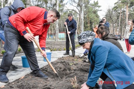 Геннадій Зубко, Ігор Гундич та волонтери висадили алею магнолій і троянд біля Центру вертебрології