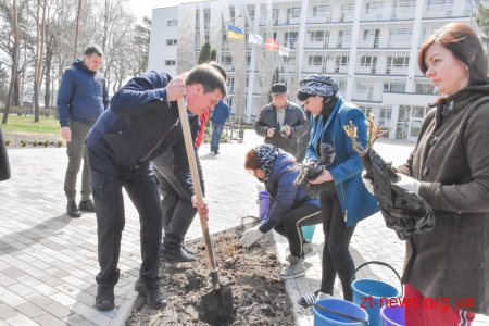 Геннадій Зубко, Ігор Гундич та волонтери висадили алею магнолій і троянд біля Центру вертебрології