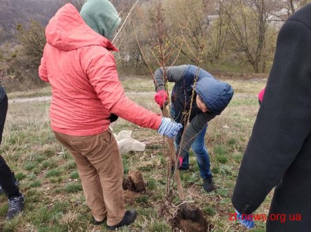 Працівники ОДА у Житомирі висадили 120 дерев та 50 кущів