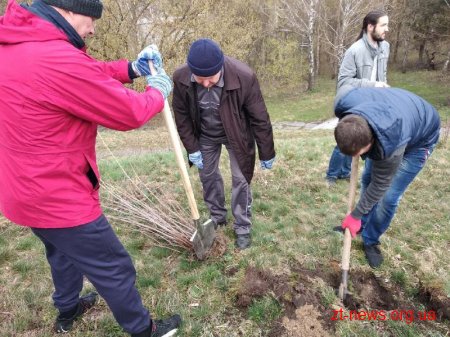 Працівники ОДА у Житомирі висадили 120 дерев та 50 кущів