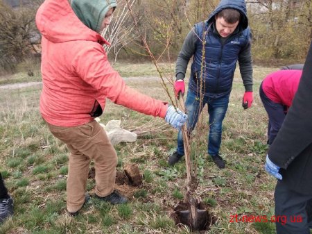 Працівники ОДА у Житомирі висадили 120 дерев та 50 кущів