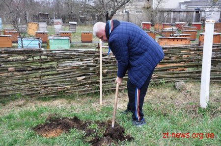Працівники ОДА у Житомирі висадили 120 дерев та 50 кущів