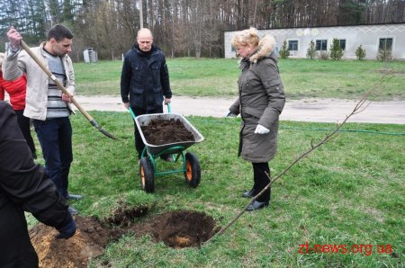 Працівники ОДА у Житомирі висадили 120 дерев та 50 кущів