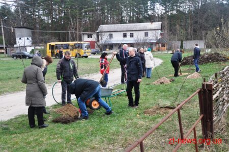 Працівники ОДА у Житомирі висадили 120 дерев та 50 кущів