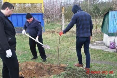 Працівники ОДА у Житомирі висадили 120 дерев та 50 кущів