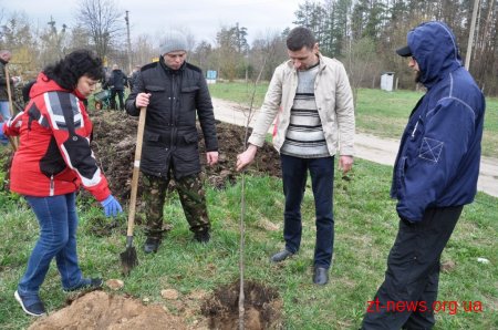 Працівники ОДА у Житомирі висадили 120 дерев та 50 кущів