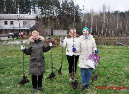 Працівники ОДА у Житомирі висадили 120 дерев та 50 кущів