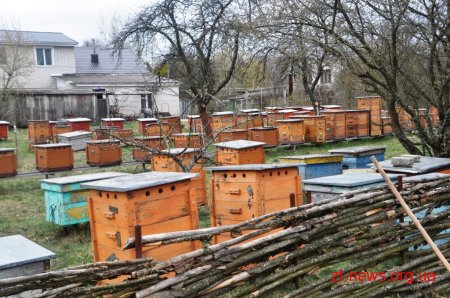 Працівники ОДА у Житомирі висадили 120 дерев та 50 кущів