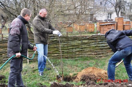 Працівники ОДА у Житомирі висадили 120 дерев та 50 кущів