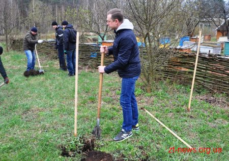 Працівники ОДА у Житомирі висадили 120 дерев та 50 кущів