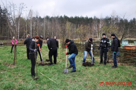 Працівники ОДА у Житомирі висадили 120 дерев та 50 кущів