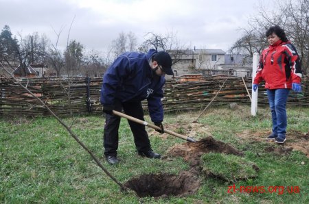 Працівники ОДА у Житомирі висадили 120 дерев та 50 кущів