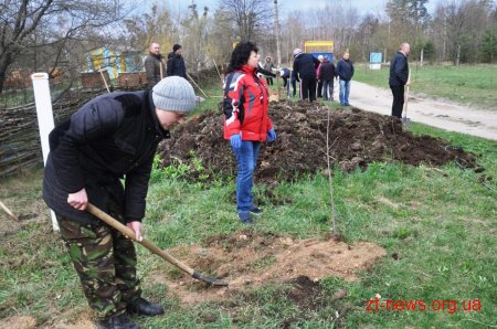 Працівники ОДА у Житомирі висадили 120 дерев та 50 кущів