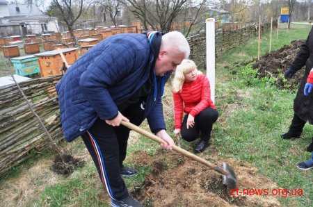 Працівники ОДА у Житомирі висадили 120 дерев та 50 кущів