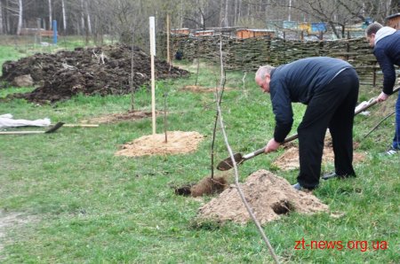 Працівники ОДА у Житомирі висадили 120 дерев та 50 кущів