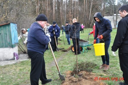 Працівники ОДА у Житомирі висадили 120 дерев та 50 кущів