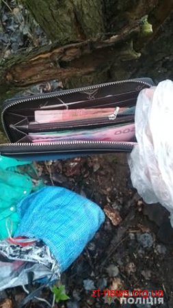 У Попільнянському районі поліцейські затримали причетного до вбивства пенсіонерки