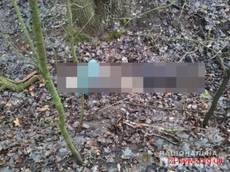 У Попільнянському районі поліцейські затримали причетного до вбивства пенсіонерки