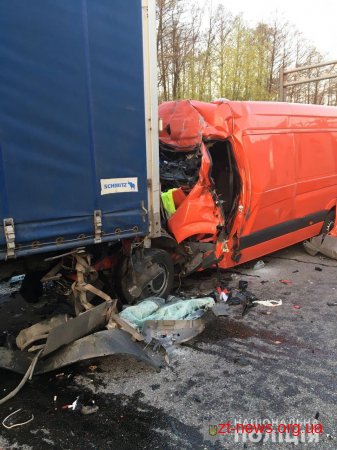 У Новоград-Волинському районі поява лося на дорозі призвела до подвійної ДТП
