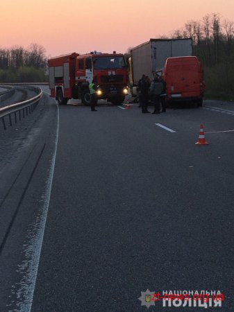 У Новоград-Волинському районі поява лося на дорозі призвела до подвійної ДТП