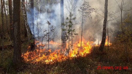 На Житомирщині локалізували масштабні пожежі у лісових масивах на території 3-х районів