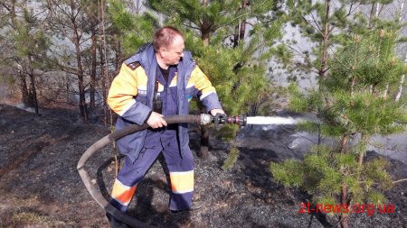 На Житомирщині локалізували масштабні пожежі у лісових масивах на території 3-х районів