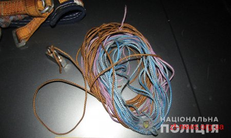 У Коростенському районі викрито місцевого «альпініста» у спробі крадіжки кабелів