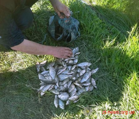 На Звягельщині упродовж кількох тижнів поліцейські зафіксували понад 30 випадків незаконного вилову риби